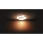 915005587301 | Philips Hue Adore loftlampe til badeværelse |