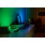 915005735501 | Philips Hue Play White and Color Ambiance Play udvidelsespakke - hvid |
